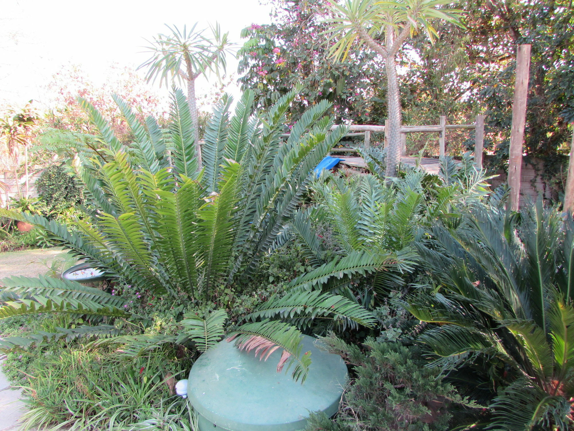 Matt'S Rest B&B And Self Catering Pietermaritzburg Εξωτερικό φωτογραφία